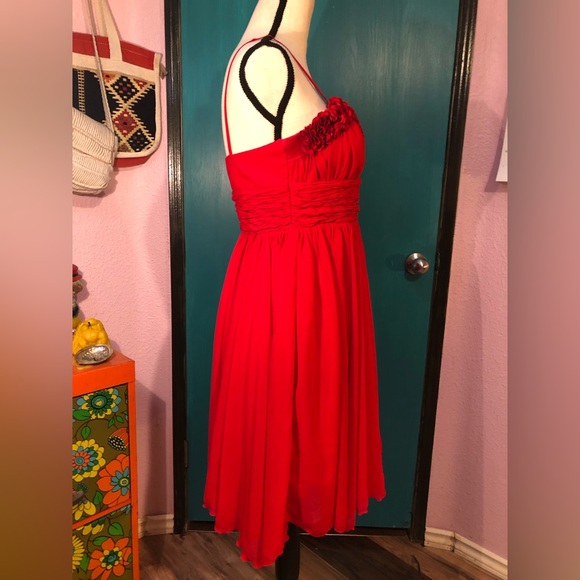 Vintage Red Rose Sleeveless Dress 💋 - Picture 2 of 16